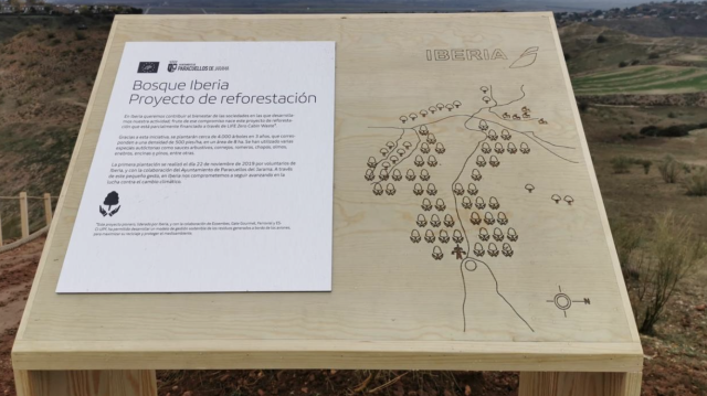 proyecto bosque Iberia