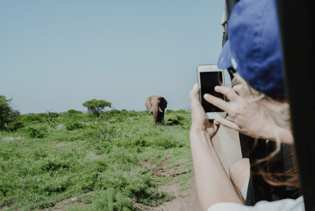 Safaris sostenibles